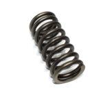 1813104 Valve Spring, Intake, DAF PACCAR EURO5 TEMSA SAFIR