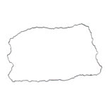 1900010 GASKET, VALVE COVER DAF EURO6 MX11 PACCAR