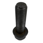 7401079435 CALIPPER VİDA - Görsel 3